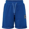 hummel hmlTYLER Shorts Jungen 7017 - navy peony 104