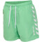 hummel hmlDELTA Badeshorts Jungen 6450 - absinthe green 140