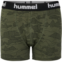 2er Pack hummel hmlNOLAN Boxershorts Jungen 6453 - olive night 110/116