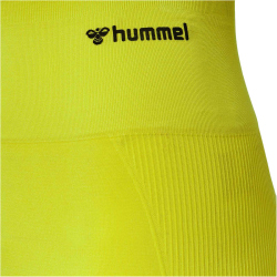 hummel hmlTIF Seamless Fitness Shorts Damen 6724 - sulphur spring XS
