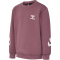hummel hmlVENTI Trainingsanzug Kinder 4085 - rose brown 146