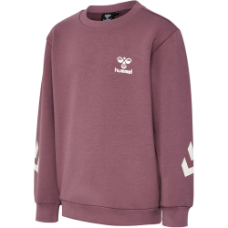 hummel hmlVENTI Trainingsanzug Kinder 4085 - rose brown 152