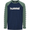 hummel hmlBOYS Langarmshirt Jungen 6575 - laurel wreath 176