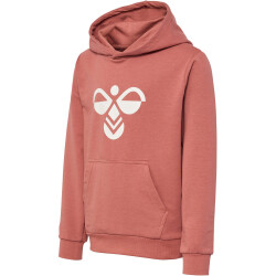 hummel hmlCUATRO Hoodie Kinder 8073 - chutney 140