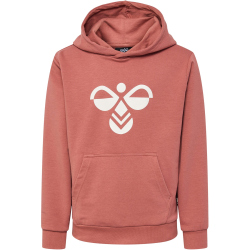 hummel hmlCUATRO Hoodie Kinder 8073 - chutney 140