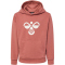 hummel hmlCUATRO Hoodie Kinder 8073 - chutney 152