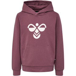 hummel hmlCUATRO Hoodie Kinder 4085 - rose brown 104