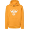hummel hmlCUATRO Hoodie Kinder 3773 - butterscotch 140
