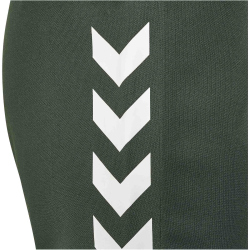 hummel hmlTE TOPAZ Shorts Herren 6126 - climbing ivy XXL