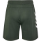hummel hmlTE TOPAZ Shorts Herren 6126 - climbing ivy XXL
