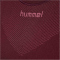 hummel First Seamless kurzarm Funktionsshirt Damen 3070 - burgundy XL/XXL
