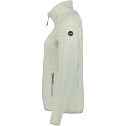 ICEPEAK Aikes Trekkingjacke Damen 518 - light green XL