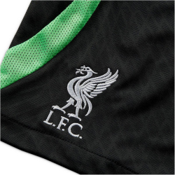 NIKE FC Liverpool Strike Dri-FIT Knit Fu&szlig;ballshorts...