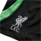 NIKE FC Liverpool Strike Dri-FIT Knit Fußballshorts Kinder