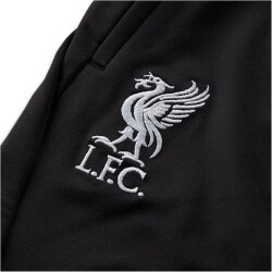 NIKE FC Liverpool Strike Dri-FIT Knit Fußball Trainingshose Kinder
