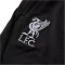 NIKE FC Liverpool Strike Dri-FIT Knit Fußball Trainingshose Kinder