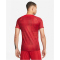 NIKE FC Liverpool Academy Pro Dri-FIT Aufwärmshirt Herren