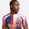 NIKE FC Barcelona Academy Pro Dri-FIT Aufwärmshirt Herren