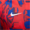 NIKE Atlético Madrid Academy Pro Dri-FIT Aufwärmshirt Herren