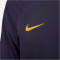 NIKE Paris Saint-Germain Strike Dri-FIT Woven Trainingsanzug Herren
