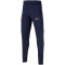NIKE Paris Saint-Germain Dri-FIT Strike Trainingshose Kinder