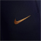 NIKE Paris Saint-Germain Strike Dri-FIT Knit Fußball Trainingshose Damen