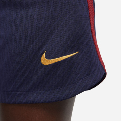 NIKE Paris Saint-Germain Strike Dri-FIT Knit...