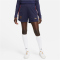 NIKE Paris Saint-Germain Strike Dri-FIT Knit Fußballshorts Damen