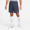 NIKE Tottenham Hotspur Strike Dri-FIT Knit Fußballshorts Herren