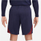 NIKE Paris Saint-Germain Strike Dri-FIT Knit Fußballshorts Herren