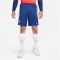 NIKE Atlético Madrid Strike Dri-FIT Knit Fußballshorts Herren
