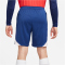 NIKE Atlético Madrid Strike Dri-FIT Knit Fußballshorts Herren