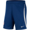 NIKE Atlético Madrid Strike Dri-FIT Knit Fußballshorts Herren