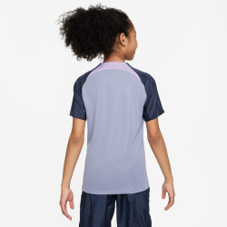 NIKE Tottenham Hotspur Strike Dri-FIT Knit...