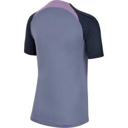 NIKE Tottenham Hotspur Strike Dri-FIT Knit...