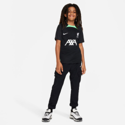 NIKE FC Liverpool Strike Dri-FIT Knit Fu&szlig;ballshirt...