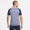 NIKE Tottenham Hotspur Strike Dri-FIT Knit Fußballshirt Herren