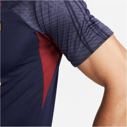 NIKE Paris Saint-Germain Strike Dri-FIT Knit Fußballshirt Herren