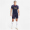 NIKE Paris Saint-Germain Strike Dri-FIT Knit Fußballshirt Herren