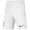 NIKE Tottenham Hotspur Stadium Heim Dri-FIT Fußballshorts 2022/23 Kinder