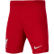 NIKE FC Liverpool Stadium Heim Dri-FIT Fußballshorts 2022/23 Kinder