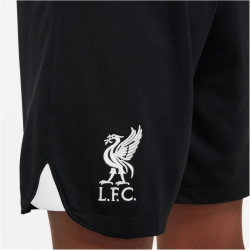 NIKE FC Liverpool Stadium Ausw&auml;rts Dri-FIT...