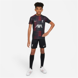 NIKE FC Liverpool Stadium Ausw&auml;rts Dri-FIT...