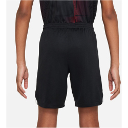 NIKE FC Liverpool Stadium Ausw&auml;rts Dri-FIT...