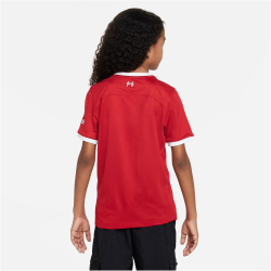 NIKE FC Liverpool Stadium Heim Dri-FIT...