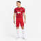 NIKE FC Liverpool Stadium Heim Dri-FIT Fußballshorts 2023/24 Herren