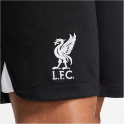 NIKE FC Liverpool Stadium Ausw&auml;rts Dri-FIT...