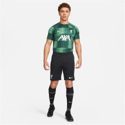 NIKE FC Liverpool Stadium Ausw&auml;rts Dri-FIT...