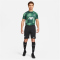 NIKE FC Liverpool Stadium Auswärts Dri-FIT Fußballshorts 2023/24 Herren