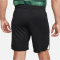 NIKE FC Liverpool Stadium Auswärts Dri-FIT Fußballshorts 2023/24 Herren